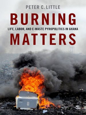 cover image of Burning Matters